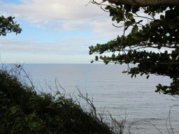 Visite de la petite cousine !